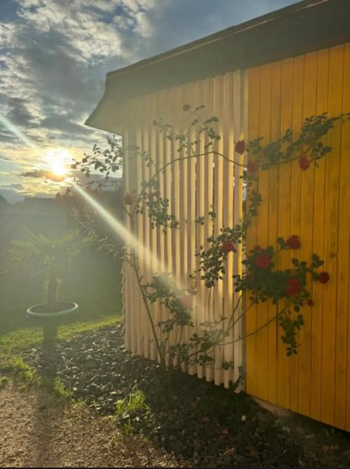 11782591036IMG_8345.webp-bungalows-sonnenblume.com